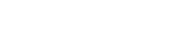 FRENCH BAR VAPEUR